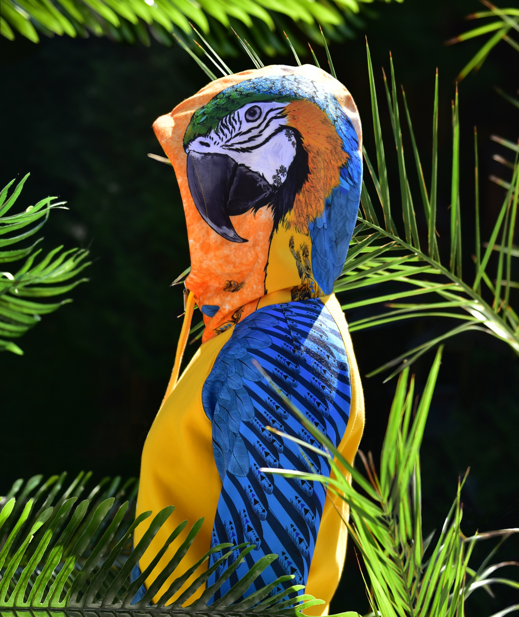 Blue- Ara- bluza- Street- Legend- bluza- z- papugą