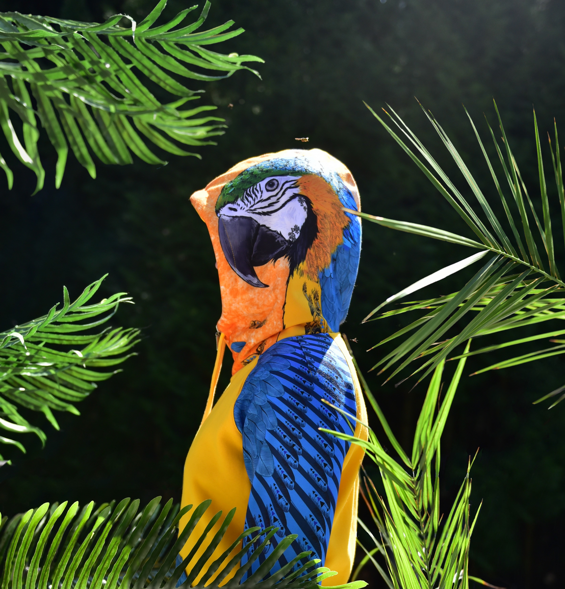 Street- Legend- Blue- Ara- bluza- z papugą