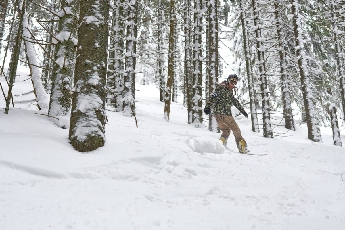Kurtka- snowboardowa- narciarska- Snow- Legend- Street- Legend- Camo- Animals- softshell- wodoodporna