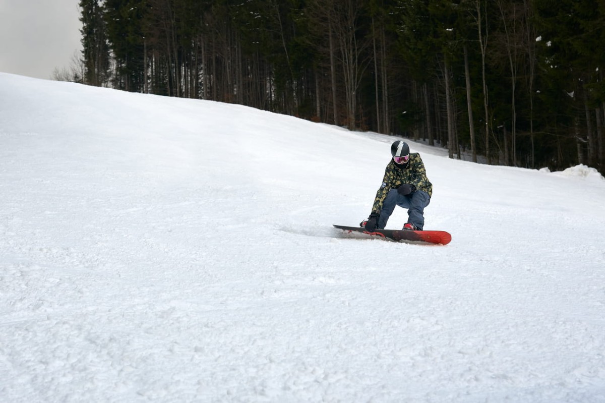 Kurtka- snowboardowa- narciarska- Snow- Legend- Street- Legend- Camo- Animals- softshell- wodoodporna